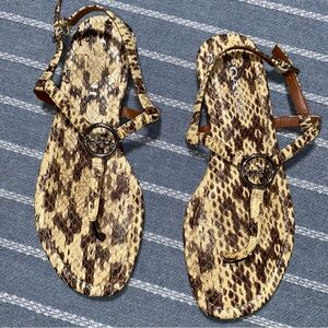Coach Snake Print Thong‎ Sandals 7.5